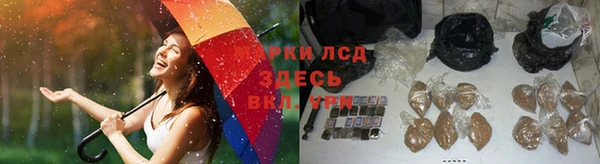 каннабис Новокубанск