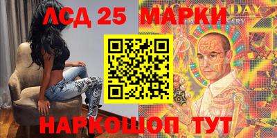 стафф Камышлов