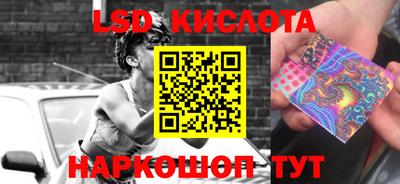 стафф Камышлов