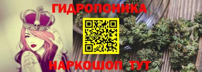 стафф Камышлов