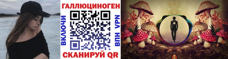 Галлюциногенные грибы ЛСД  hydra   Тосно 