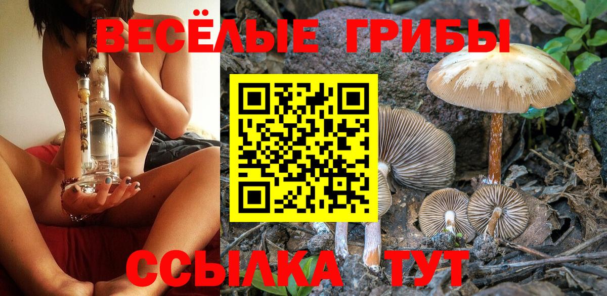 Галлюциногенные грибы MAGIC MUSHROOMS Тосно