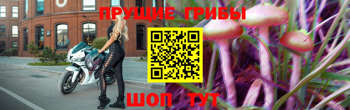 Тосно  Галлюциногенные грибы GOLDEN TEACHER  Вход с VPN 